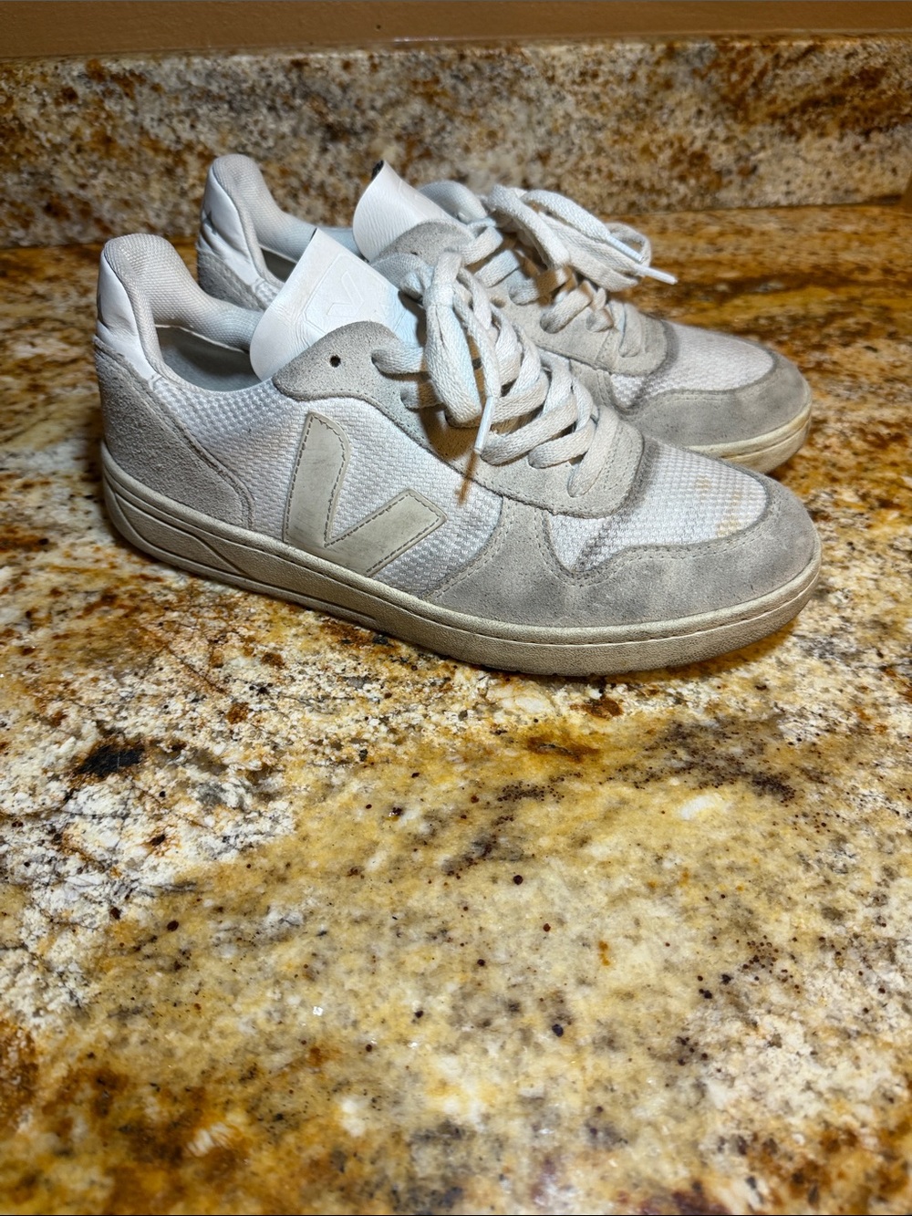 Veja Men's Low-Top Sneakers in Off-White and Light Gray